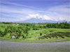 paysage bali