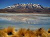 Bolivie