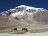 Bolivie