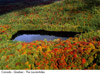 canada - quebec - the laurentide