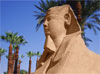 Temple de Louxor - Avenue des Sphinx