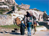 Pigeon Valley - Cappadoce