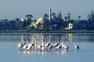 Chypre - Larnaca, Autotour Est Ouest du Bien-Etre Protaras/Paphos 4*