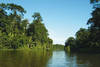 tortuguero - sur la route des volcans