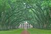 Etats-Unis - Atlanta, Autotour Le Grand Sud, de la Louisiane au Tennessee