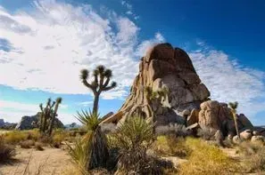 Etats-Unis - Los Angeles, Autotour découverte de l'ouest américain