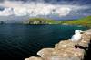 mouette