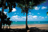 Plage de l'Hermitage- Région de Saint Gilles - Découverte de la réunion en hôtels