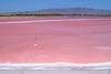 salines au sud de cagliari
