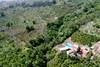 la foresta del salvo del carvo - 