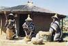 Nos bons plans vacances Afrique Du Sud
