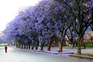 Afrique Du Sud - Johannesbourg, Autotour Afrique du sud en liberté