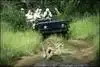 parc kruger - aventure sud africaine