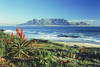 Afrique Du Sud - Le Cap, Circuit Afrique du Sud Premieres