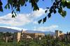 alhambra