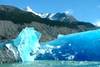 Nos bons plans vacances Argentine