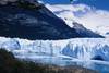 Argentine