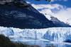 Argentine