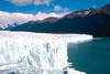 Argentine