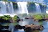 Argentine