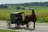 Communauté Amish - Région de Washington - Métropoles du Nouveau Monde