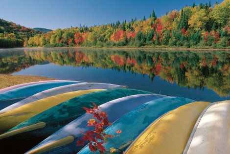Paysage en Mauricie