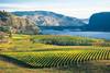 vallée okanagan