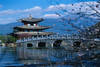Chine - Pekin, Circuit Decouverte Chinoise