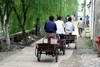 Suzhou - Jardin