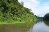 canal parc national tortuguero