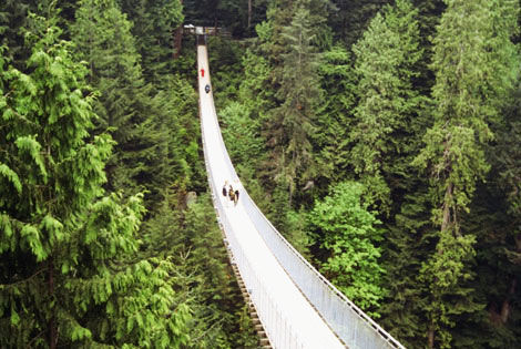 Pont suspendu - Rendez-vous Avec la Nature