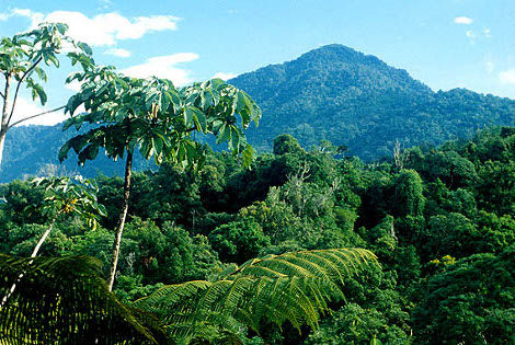 Volcan Arenal