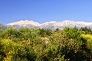 Crète - Heraklion, Autotour 4x4 et Balade Cretoise 3*