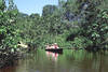 balade en pirogue dans la mangrove
