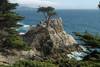 17 mile drive 17 mile drive