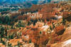 bryce canyon bryce canyon