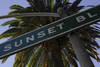 Sunset boulevard- Los Angeles