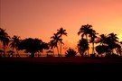 Etats-Unis - Miami, Circuit Découverte de la Floride