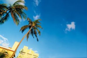 Etats-Unis - Miami, Circuit Floride Féerique et Extension croisière aux Bahamas