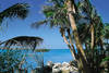 Etats-Unis - Miami, Circuit Floride Premieres