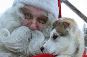 Finlande-Kittila, Circuit A la rencontre du Père Noël en Laponie 3*