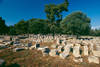 ruines olympie