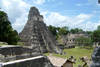 temple du grand jaguar à tikal
