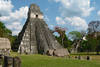 tikal