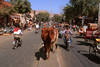 inde