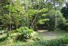jardin botanique
