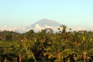 Indonesie - Djakarta, Circuit Trésors d'Indonésie 3*