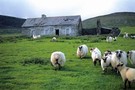 Irlande - Dublin, Circuit Magie d'irlande 3*