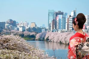 Japon-Osaka, Circuit Les Incontournables du Japon