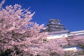 Japon-Tokyo, Circuit Japon Passé & Présent
